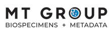 The MT Group